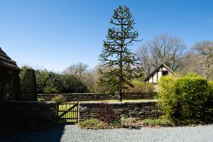 Photo 25- click for photo gallery